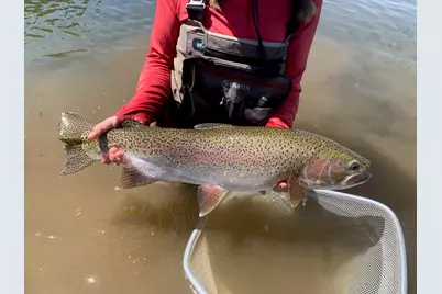 29951 Oregon Pines Road, Beatty, OR 97621 - Photo 17