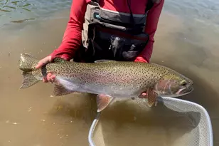 29951 Oregon Pines Rd, Beatty, OR 97621 - Photo 17