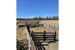 29951 Oregon Pines Rd, Beatty, OR 97621 - Photo 49