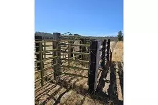 29951 Oregon Pines Rd, Beatty, OR 97621 - Photo 45