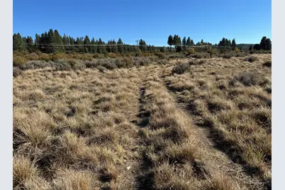 0 Cattle Drive #40, Chiloquin, OR 97624 - Photo 5