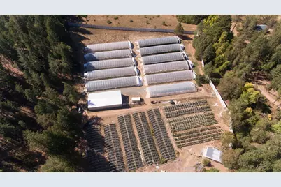 1801 Davis Creek Road, Selma, OR 97538 - Photo 3