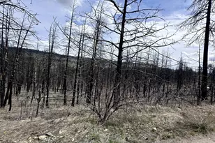 Wren Dr, Bonanza, OR 97623 - Photo 1