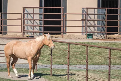 11698 Pinedale Lane, Terrebonne, OR 97760 - Photo 75