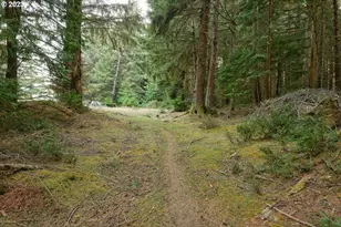 47458 Hwy 101, Langlois, OR 97450 - Photo 3