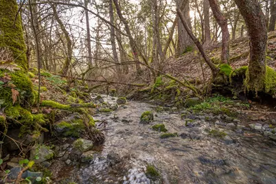 1224 W Jones Creek Road #Lot 2, Grants Pass, OR 97526 - Photo 5