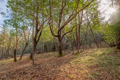1224 W Jones Creek Road #Lot 2, Grants Pass, OR 97526 - Photo 1