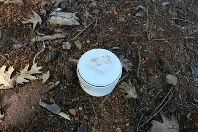 300 School Street, Kerby, OR 97531 - Photo 11