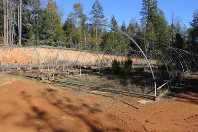 300 School Street, Kerby, OR 97531 - Photo 17