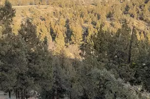 1936 Redtail Hawk Dr, Redmond, OR 97756 - Photo 23