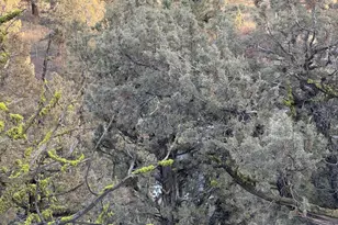 1936 Redtail Hawk Dr, Redmond, OR 97756 - Photo 21