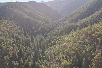 Coleman Cr Road, Phoenix, OR 97535 - Photo 9