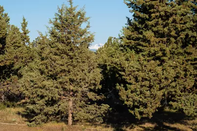 8823 NW Teater Avenue, Terrebonne, OR 97760 - Photo 65