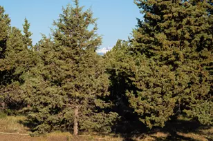 8823 NW Teater Ave, Terrebonne, OR 97760 - Photo 65