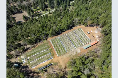 550 Terrace Heights Road, Selma, OR 97538 - Photo 13