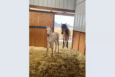 2250 S Main Street, Prineville, OR 97754 - Photo 55