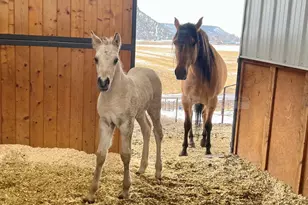 2250 S Main St, Prineville, OR 97754 - Photo 55