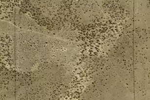 16410 SW George Millican Rd, Prineville, OR 97754 - Photo 17