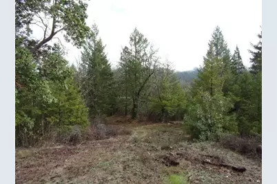 18515 Ditch Creek Road, Rogue River, OR 97537 - Photo 3