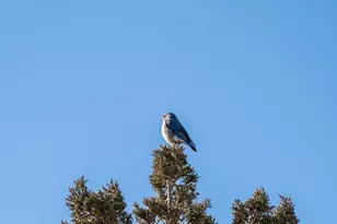 16368 SW Hat Rock Loop, Powell Butte, OR 97753 - Photo 47