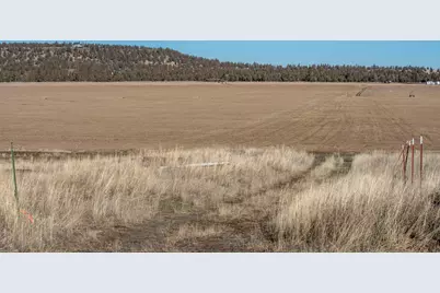 McKenzie Canyon Road, Terrebonne, OR 97760 - Photo 11