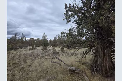 Ne Coyner #2, Redmond, OR 97756 - Photo 3