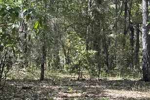 1927 Southside Rd, Grants Pass, OR 97527 - Photo 3