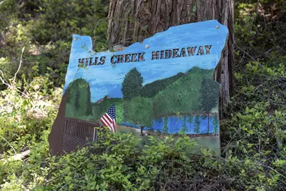 49867 Hills Creek Road, Oakridge, OR 97463 - Photo 7