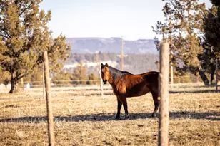 22860 Bliss Rd, Sprague River, OR 97639 - Photo 49