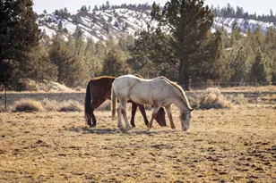 22860 Bliss Rd, Sprague River, OR 97639 - Photo 3
