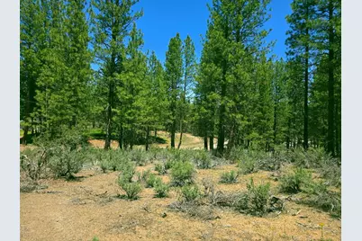 0 Elde Street #20, Chiloquin, OR 97624 - Photo 3