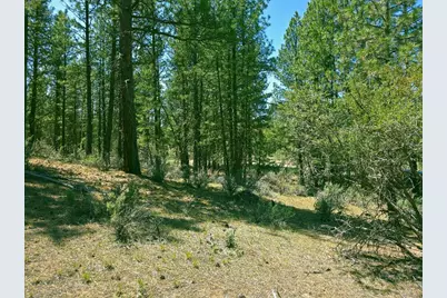 0 Elde Street #20, Chiloquin, OR 97624 - Photo 5