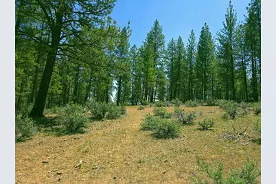 0 Elde Street #20, Chiloquin, OR 97624 - Photo 1