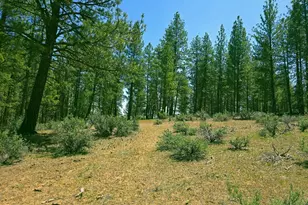 0 Elde St, Chiloquin, OR 97624 - Photo 1