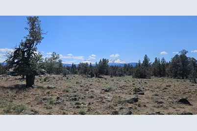 69580 Pine Ridge Drive, Sisters, OR 97759 - Photo 3