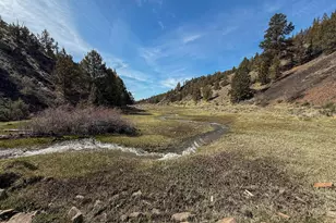25405 SE Bear Creek Rd, Prineville, OR 97754 - Photo 47
