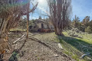 25405 SE Bear Creek Rd, Prineville, OR 97754 - Photo 37
