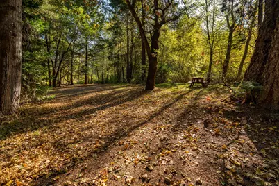 7903 Caves Highway, Cave Junction, OR 97523 - Photo 69