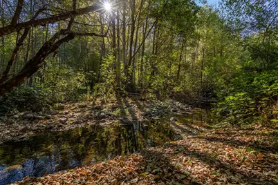 7903 Caves Highway, Cave Junction, OR 97523 - Photo 71