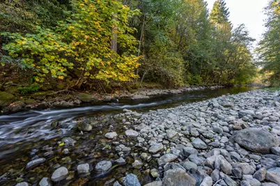 7903 Caves Highway, Cave Junction, OR 97523 - Photo 75