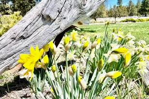 13458 Cedar Trail, Klamath Falls, OR 97603 - Photo 13