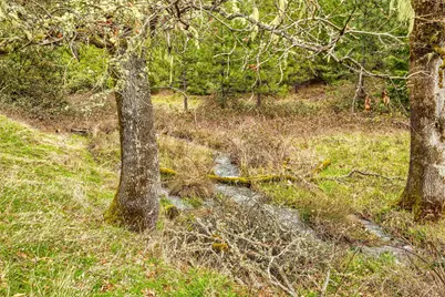 3220 Deer Creek Road, Selma, OR 97538 - Photo 87