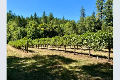 350 Mona Way, Cave Junction, OR 97523 - Photo 1