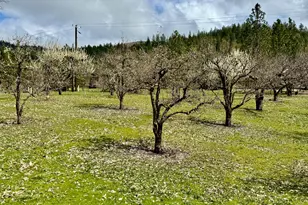 350 Mona Way, Cave Junction, OR 97523 - Photo 23