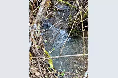 350 Mona Way, Cave Junction, OR 97523 - Photo 33