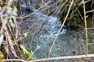 350 Mona Way, Cave Junction, OR 97523 - Photo 33