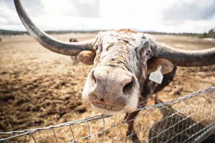 1052 S Airport Dr, Crescent, OR 97733 - Photo 45