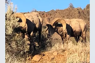 44765 Alder Creek Road, Fossil, OR 97830 - Photo 55