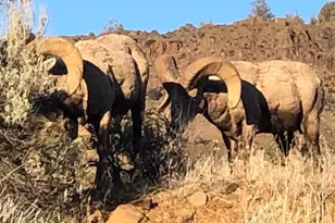 44765 Alder Creek Rd, Fossil, OR 97830 - Photo 55