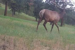 44765 Alder Creek Rd, Fossil, OR 97830 - Photo 67